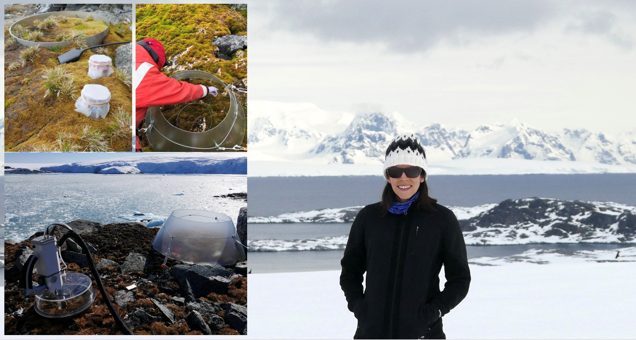 Dr. Natasja Van Gestel in Antarctica