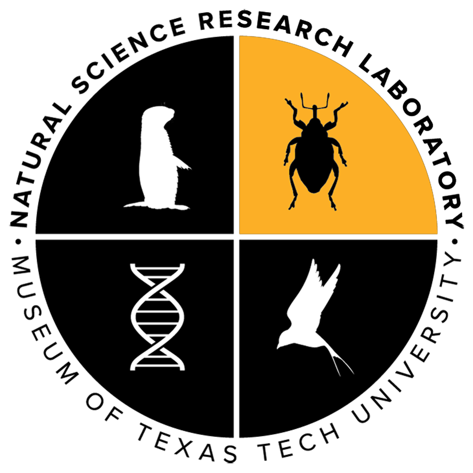 The Invertebrate Zoology Collection component of the logo of the Natural Science Research Laboratory: the sillhouette of a weevil over yellow background