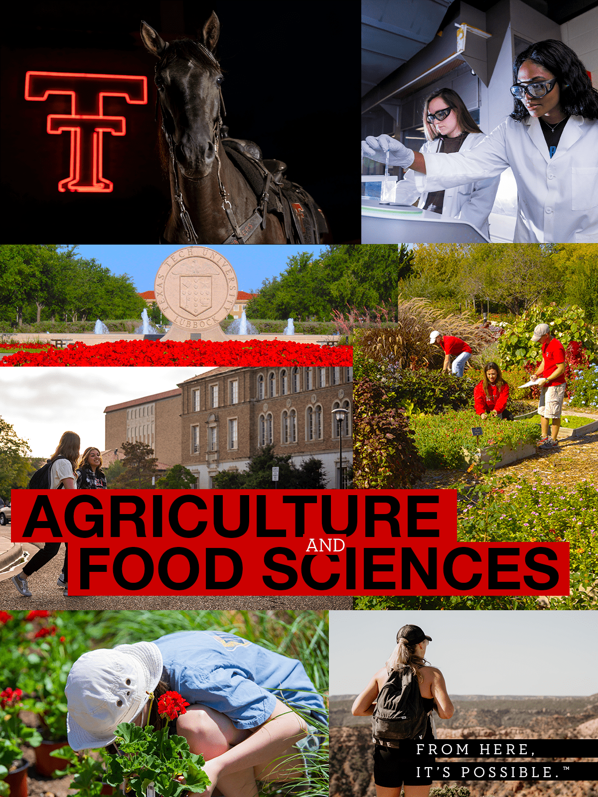 Agriculture and Food Science Banner