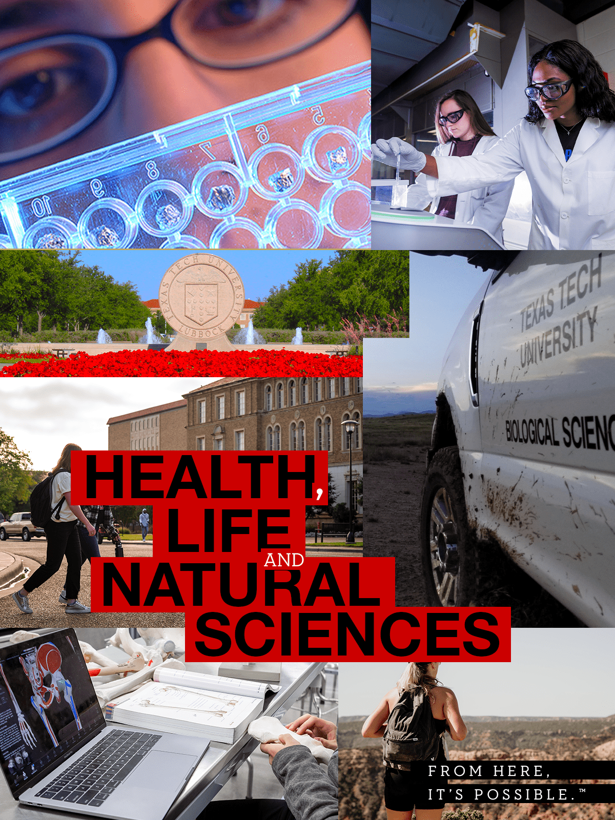 Health, Life, & Natural Sciences