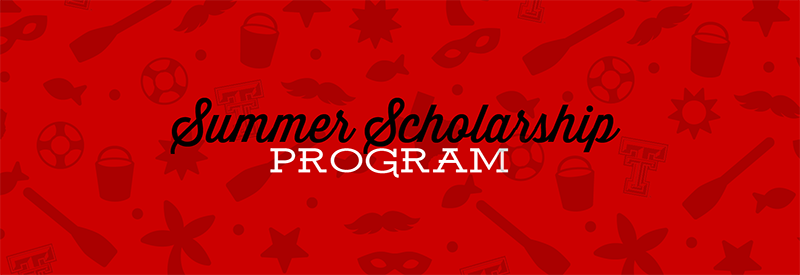 Summer Scholarship Program