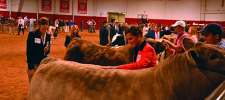 Round Up