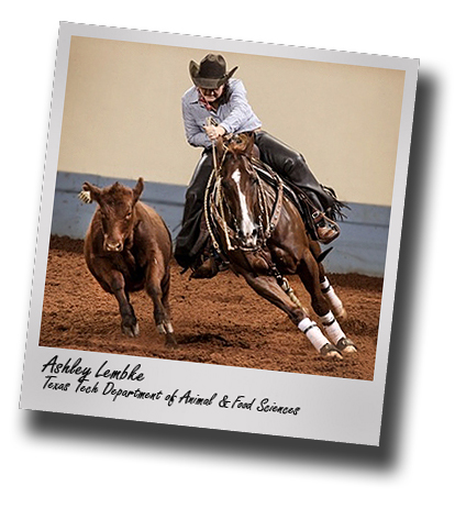 In Profile: AFS's Ashley Lembke brings home AQHA World Championship Title