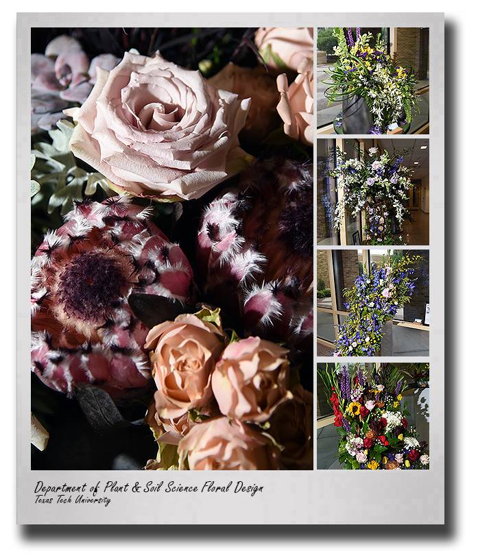 pss-spring-2019-floral-design-drop