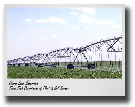 PSS doctoral student receives grant to investigate High Plains irrigation