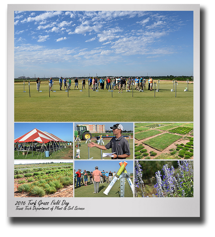 GALLERY: Turf Grass Field Day highlights research at Quaker Farm