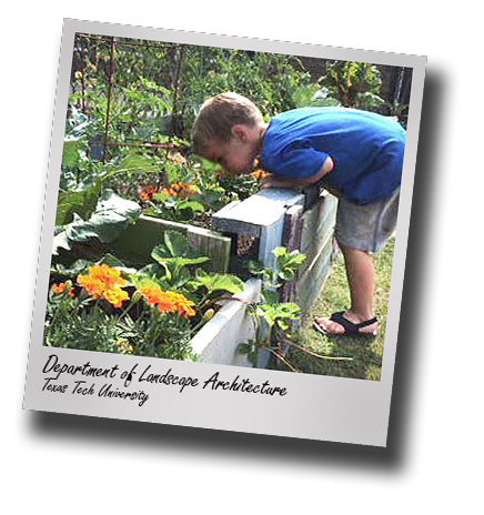 Outdoor learning environments in childcare centers spotlighted on Aug. 9