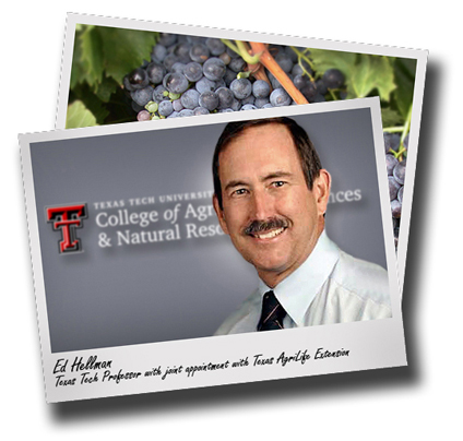 CASNR prof leads new Texas viticulture certification class to graduation