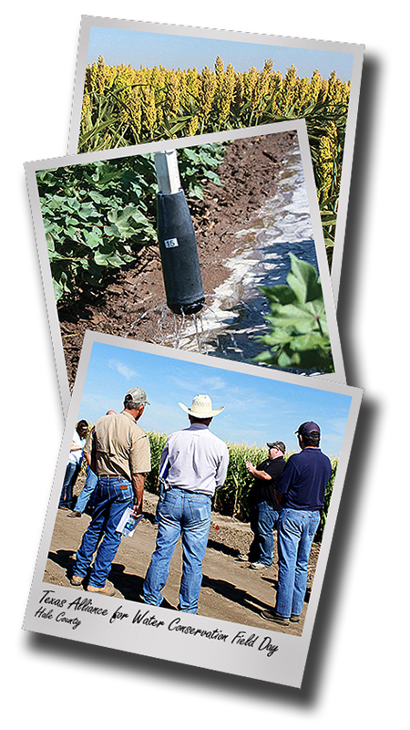 Irrigation; TAWC Summer Field Day set for Aug. 31 in Hale County