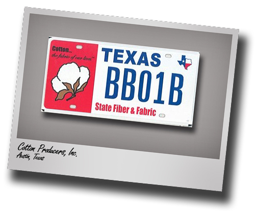 Cotton boll license plates continue to provide scholarships for CASNR students