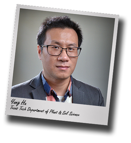 Yang Hu takes new post with Tech's Department of Plant and Soil Science