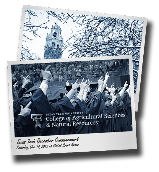 Cool Commencement; CASNR students featured at December ceremonies