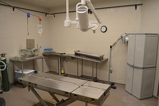 Lab Table