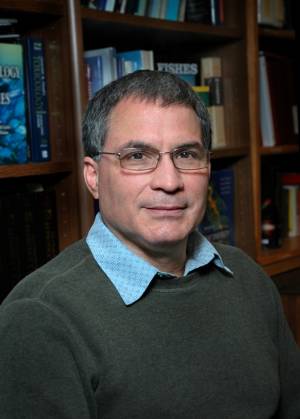 Dr. Patiño Dr. Patiño
