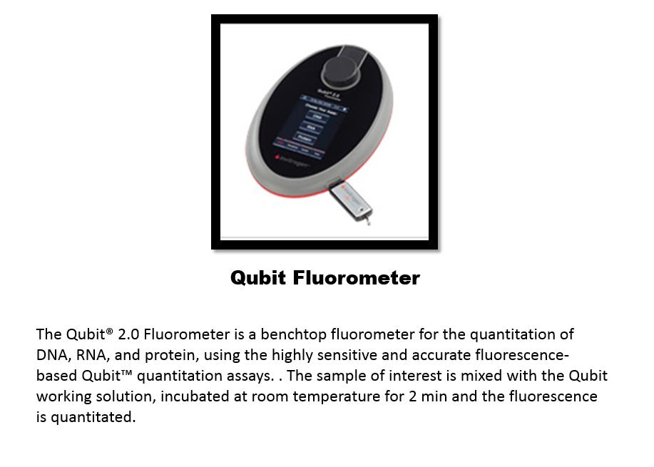 fluorometer