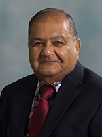 Kishor C. Mehta,Wind loads, damage analysis ,Design for tornadoes and hurricanes ,Interdisciplinary research and studies ,Wind engineering