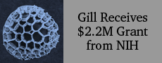 Siva Vanapalli receives $400,000 grant