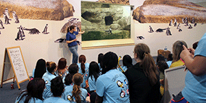 High school girls observe the Penguin Plunge! exhibit during "A Night at the Science Spectrum" event