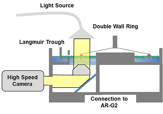 Schematic of the interfacial rheometer