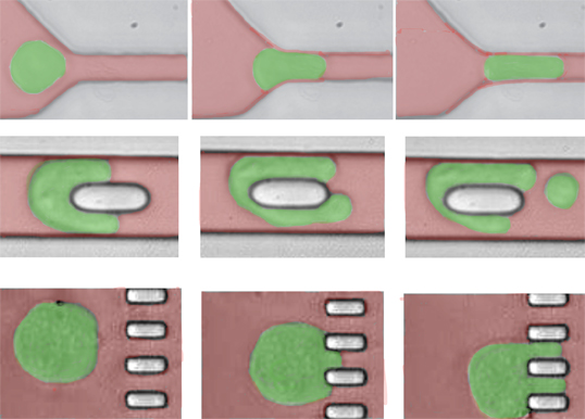 Microfluidic devices