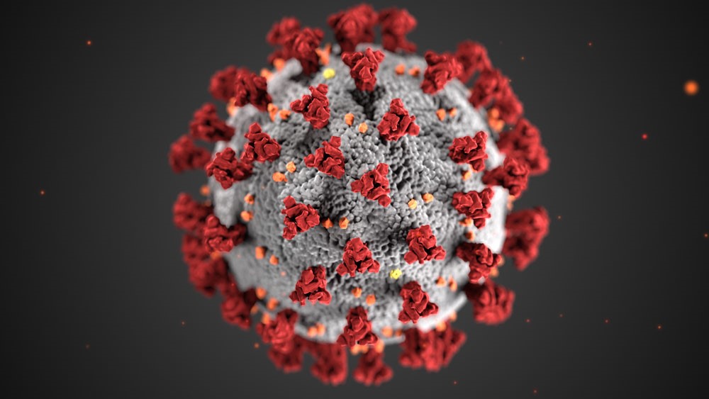 COVID-19 virus shown under a scanning electron microscope