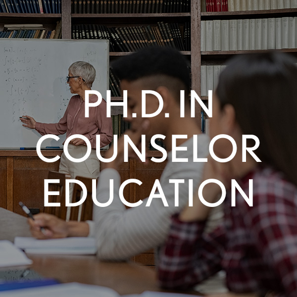 Ph.D. in Counselor Education