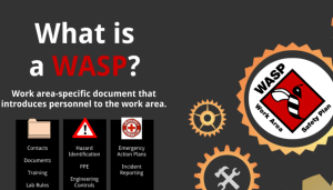WASP workshop slide image