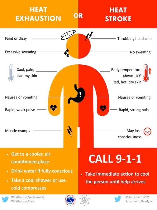 heat stress infographic