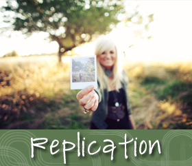 Replication Model