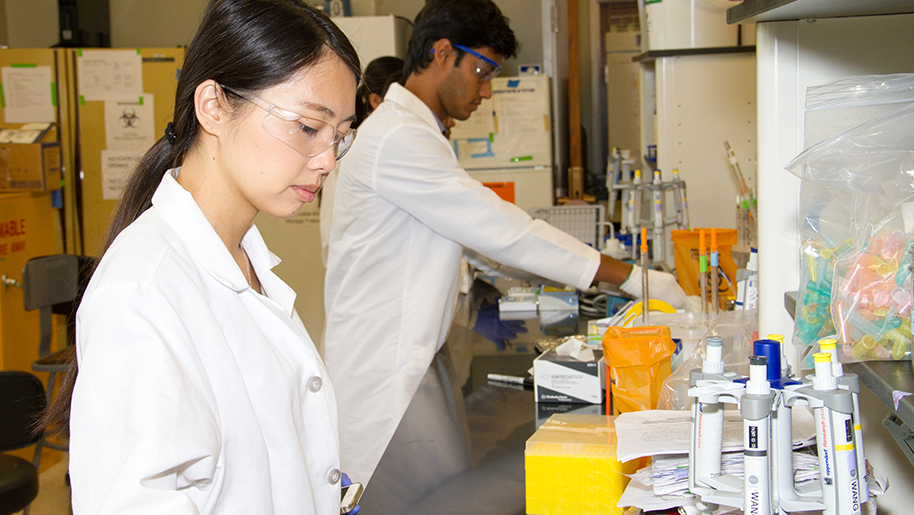 Master of Science in Nutritional Sciences Master of Science in Nutritional Sciences