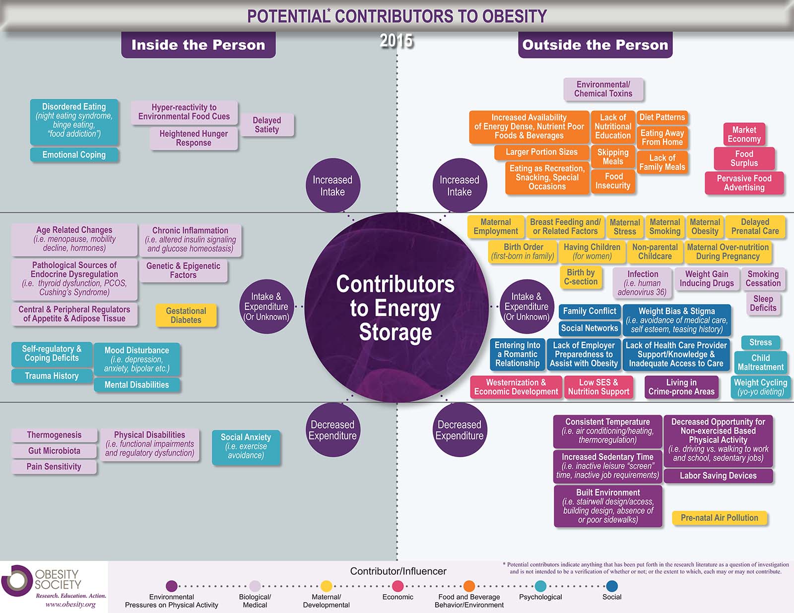 Potential Contributors to Obesity Infographic