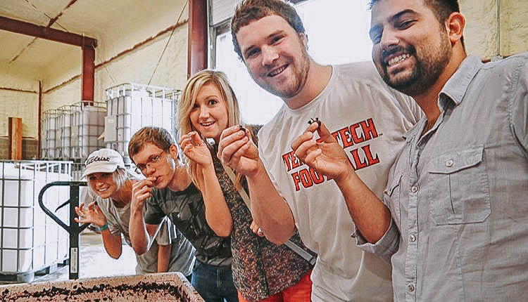 Wine Research Texas Tech Wine Research Texas Tech