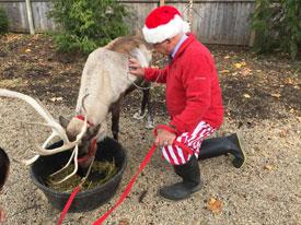 Reindeer Exam