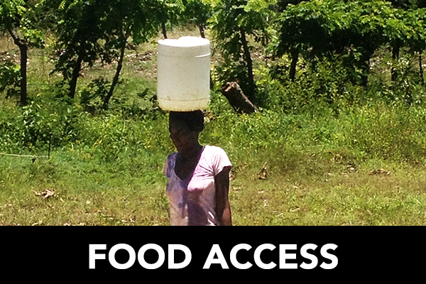 Food Access