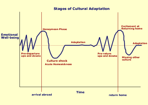 Stages of cultural adaptation in study abroad
