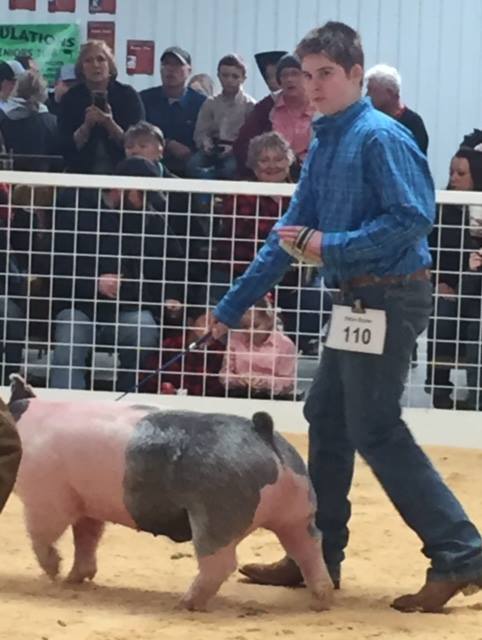 Dillon Brister shows one of his pigs.
