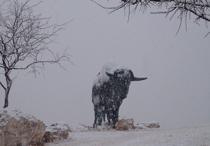 Bison sculpture with storm clouds in the distance