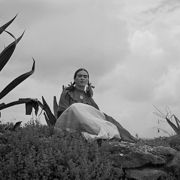 Tony Frissell, Frida Kahlo, seated next an to agave plant, 1937, image courtesy of Library of Congress, Prints and Photographs Division.