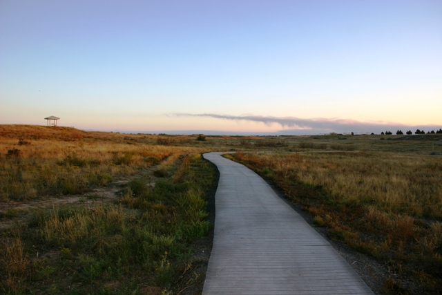 Landscape view of trail