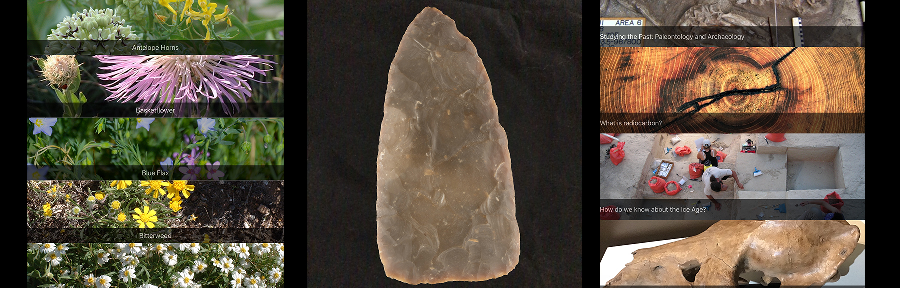 Lubbock Lake Landmark