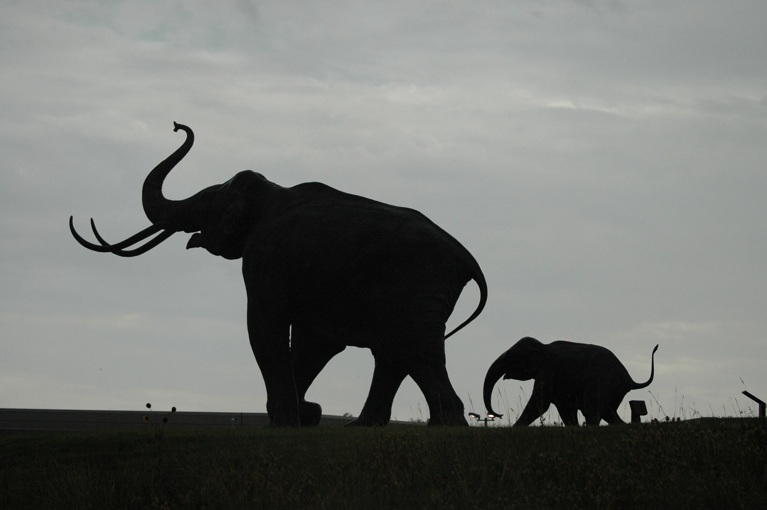 silhouette of mammoth sculptures at dusk