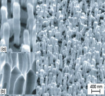 SEM Image of GaN Nanowires