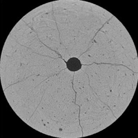 Complex Fracture Network