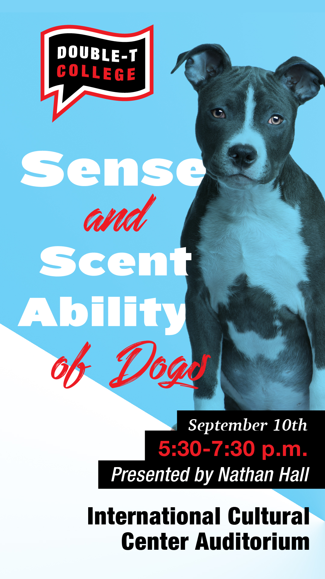Sense and Scent Ability of Dogs