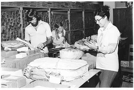 group of researchers including johnson at tagging artifcats in 1978 group of researchers including johnson at tagging artifcats in 1978