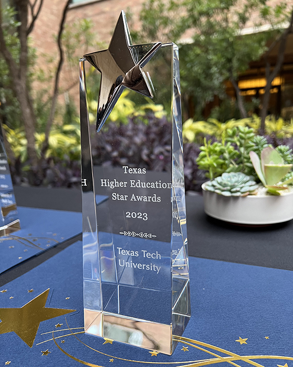 Texas Tech award from the Texas Higher Education Coordinating Board for the Star in Student Success.
