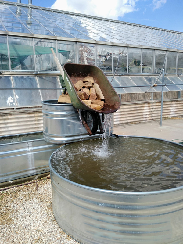 Water Feature Addition at PSS Greenhouse Complex