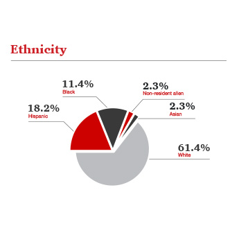Graph showing ethnicity breakdown for the Fall 2024 cohort: 41% White, 35% Hispanic, 14% Black, 7% Asian, 3% Non-resident alien.