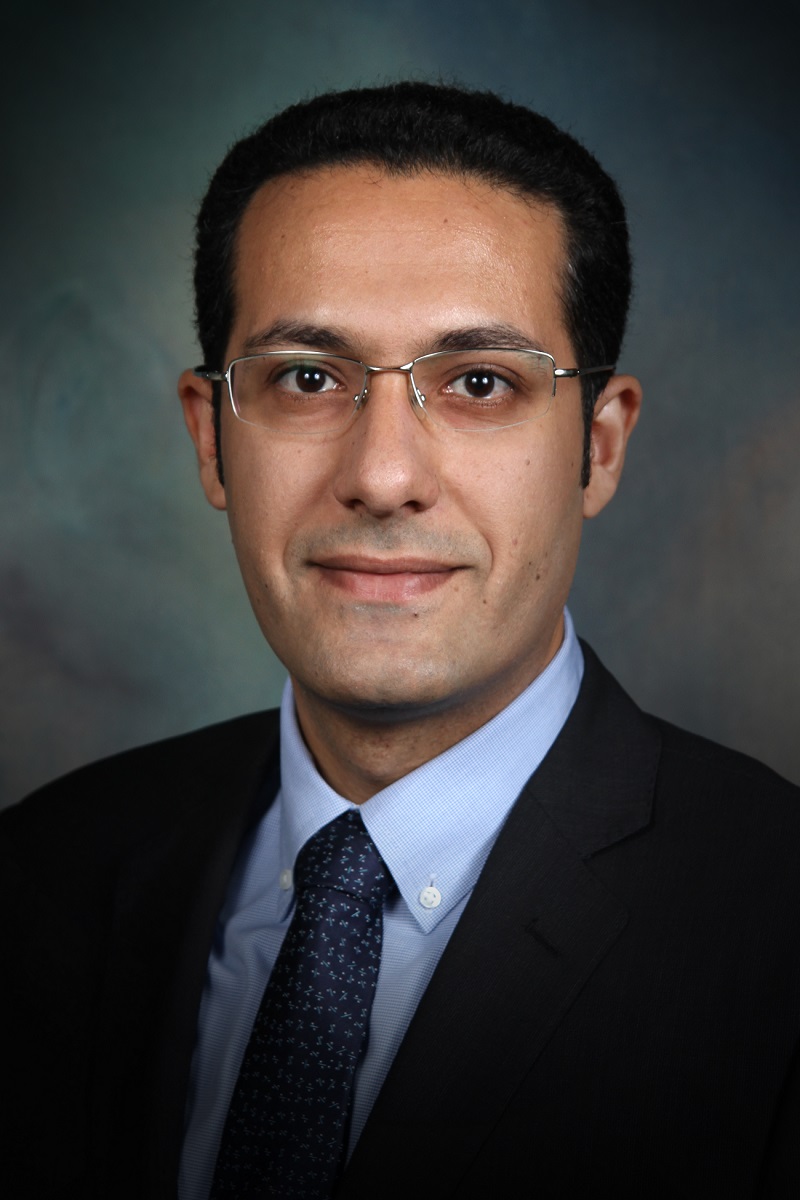 Sheikh-Zadeh, Alireza, Ph.D.