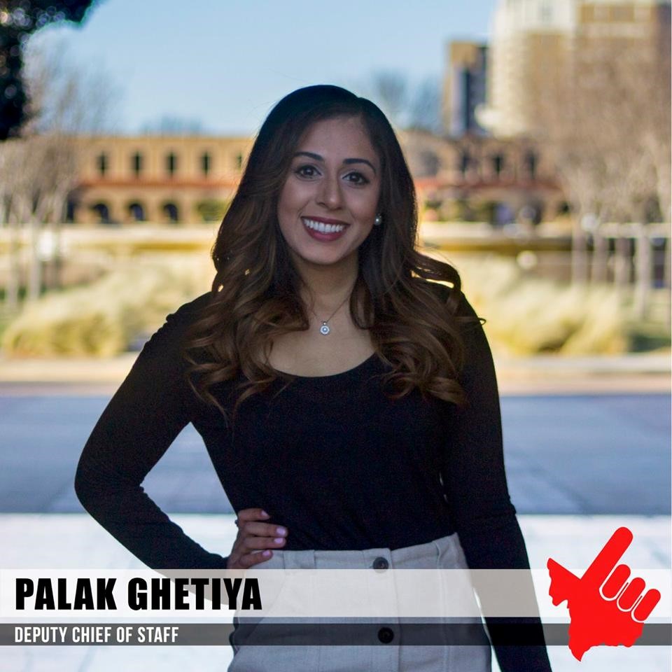 Palak Palak